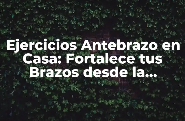 Ejercicios Antebrazo en Casa: Fortalece Tus Brazos desde la Comodidad de Tu Hogar