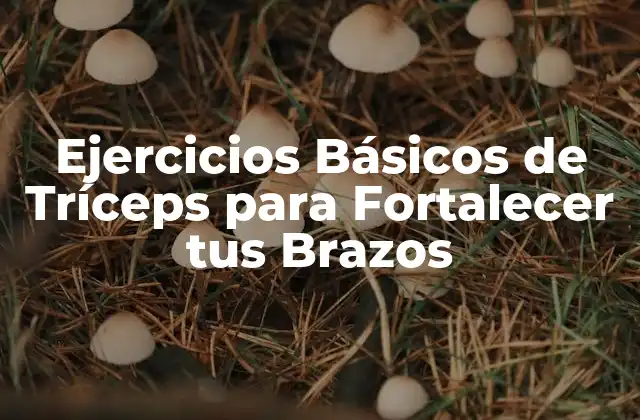Ejercicios Básicos de Tríceps para Fortalecer Tus Brazos