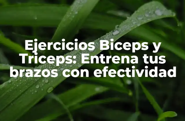 Ejercicios Biceps y Triceps: Entrena Tus Brazos con Efectividad