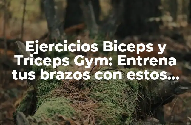 Ejercicios Biceps y Triceps Gym: Entrena Tus Brazos con Estos Ejercicios Efectivos