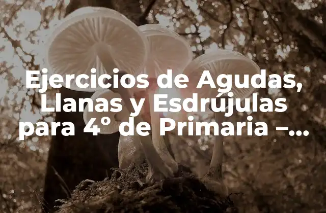 Ejercicios de Agudas, Llanas y Esdrújulas para 4º de Primaria – Aprendizaje Fácil