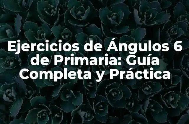 Ejercicios de Ángulos 6 de Primaria: Guía Completa y Práctica