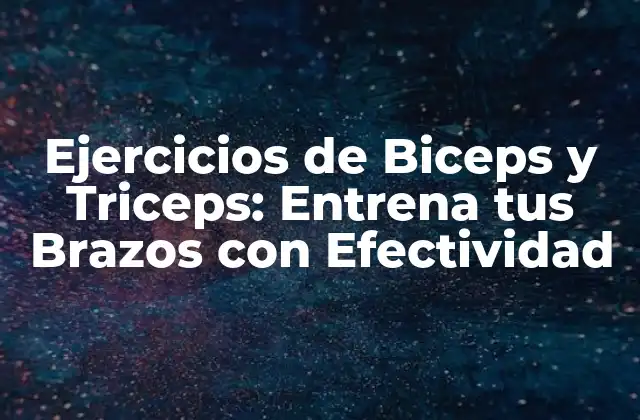 Ejercicios de Biceps y Triceps: Entrena Tus Brazos con Efectividad 2 Anatomía de los Biceps y Triceps