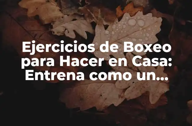 Ejercicios de Boxeo para Hacer en Casa: Entrena como un Campeón