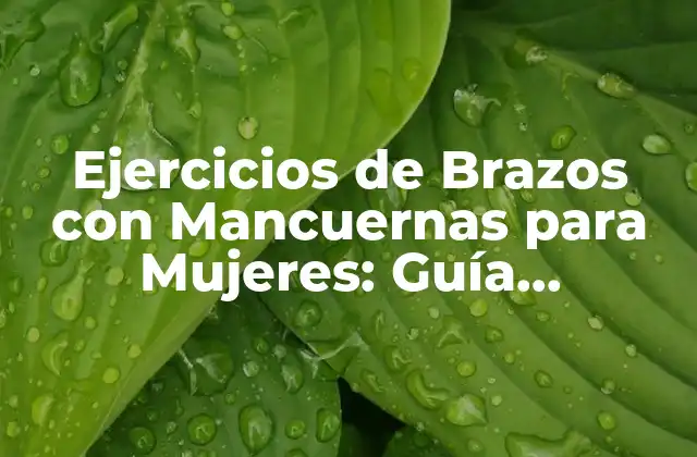 Ejercicios de Brazos con Mancuernas para Mujeres: Guía Completa