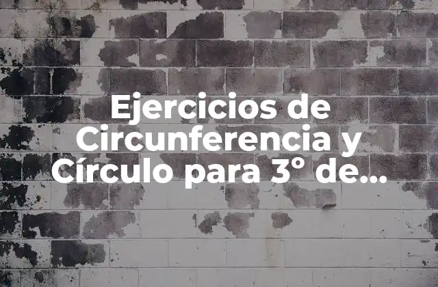 Ejercicios de Circunferencia y Círculo para 3º de Primaria: Aprende con Divertidos Ejercicios