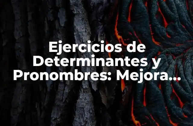 Ejercicios de Determinantes y Pronombres: Mejora Tus Habilidades Gramaticales