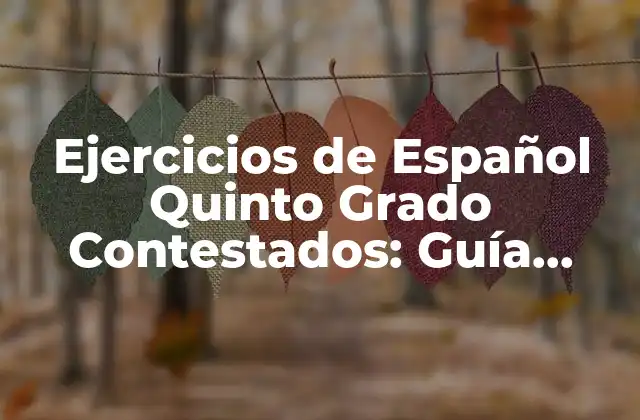 Importancia de la Práctica en el Aprendizaje del Español