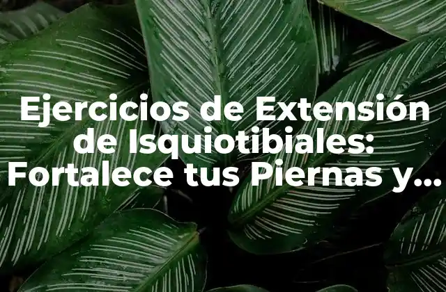 Ejercicios de Extensión de Isquiotibiales: Fortalece Tus Piernas y Mejora Tu Flexibilidad