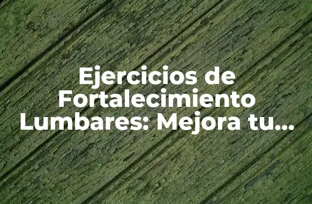 Ejercicios de Fortalecimiento Lumbares: Mejora Tu Postura y Reduce el Dolor