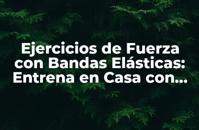 Ejercicios de Fuerza con Bandas Elásticas: Entrena en Casa con Efectividad