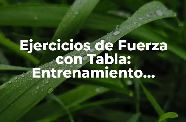 Ejercicios de Fuerza con Tabla: Entrenamiento Efectivo para Todo el Cuerpo