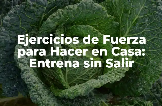 Ejercicios de Fuerza para Hacer en Casa: Entrena sin Salir