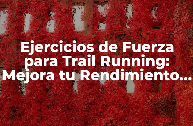 Ejercicios de Fuerza para Trail Running: Mejora Tu Rendimiento en la Montaña