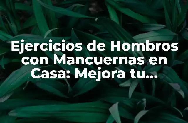 Ejercicios de Hombros con Mancuernas en Casa: Mejora Tu Postura y Fuerza