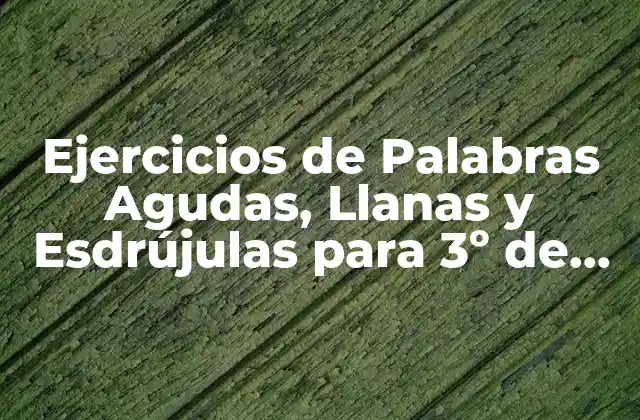 ¿Qué son las Palabras Agudas, Llanas y Esdrújulas?