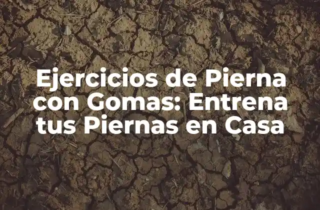 Ejercicios de Pierna con Gomas: Entrena Tus Piernas en Casa