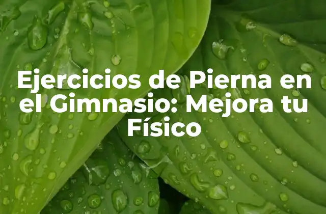 Ejercicios de Pierna en el Gimnasio: Mejora Tu Físico