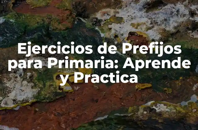Ejercicios de Prefijos para Primaria: Aprende y Practica