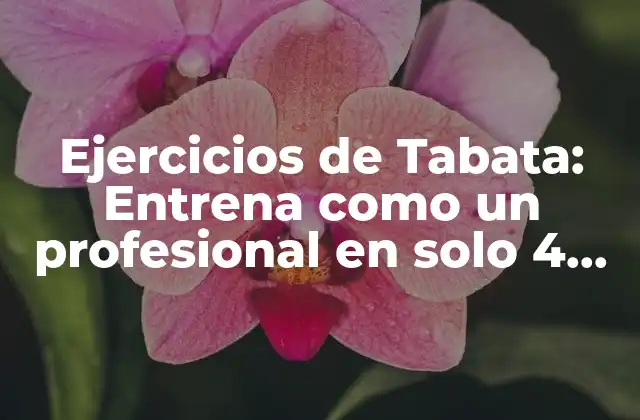 Ejercicios de Tabata: Entrena como un Profesional en Solo 4 Minutos