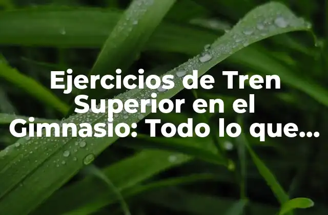 Ejercicios de Tren Superior en el Gimnasio: Todo Lo que Necesitas Saber