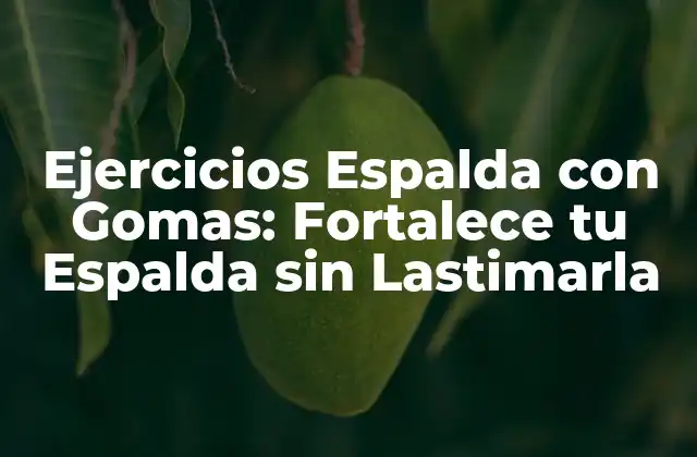 Ejercicios Espalda con Gomas: Fortalece Tu Espalda sin Lastimarla 2 ¿Cuáles son los Beneficios de los Ejercicios Espalda con Gomas?