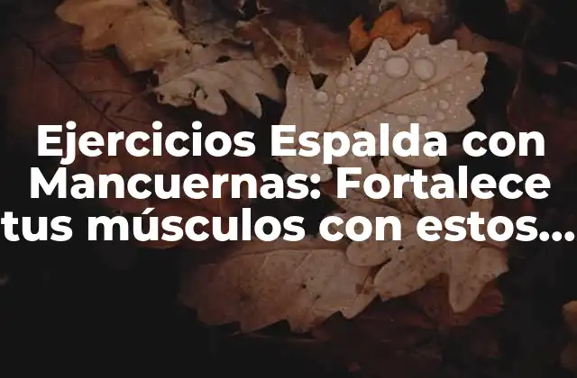 Ejercicios Espalda con Mancuernas: Fortalece Tus Músculos con Estos Entrenamientos Efectivos
