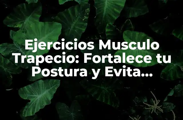 Ejercicios Musculo Trapecio: Fortalece Tu Postura y Evita Lesiones