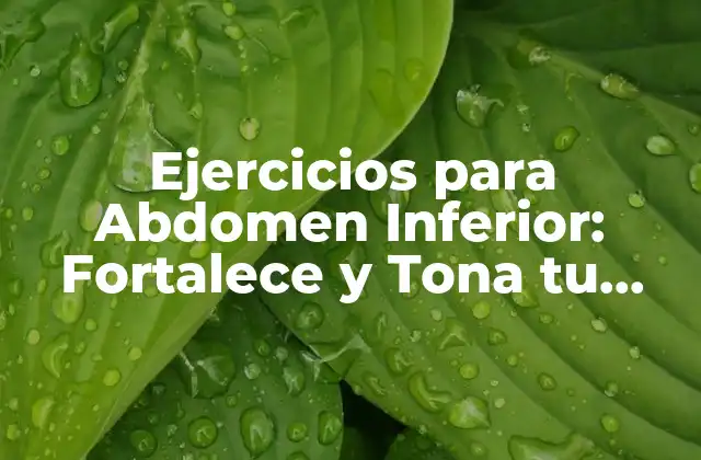 Ejercicios para Abdomen Inferior: Fortalece y Tona Tu Core
