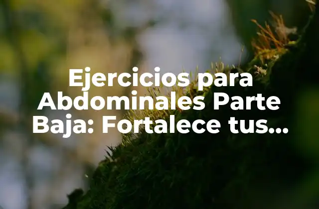 Ejercicios para Abdominales Parte Baja: Fortalece Tus Músculos Core