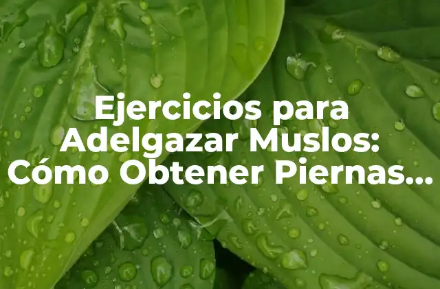 Ejercicios para Adelgazar Muslos: Cómo Obtener Piernas Slender y Fuertes