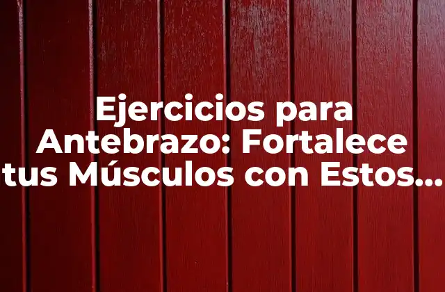 Ejercicios para Antebrazo: Fortalece Tus Músculos con Estos Ejercicios Efectivos