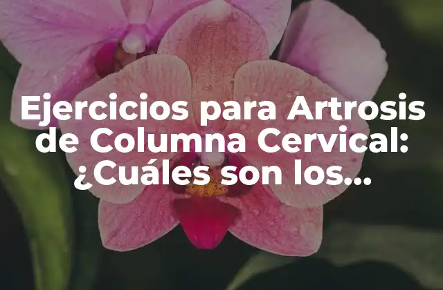 Ejercicios para Artrosis de Columna Cervical: ¿cuáles Son los Mejores?