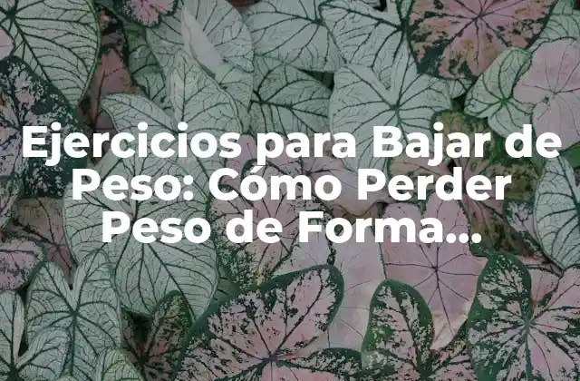 Ejercicios para Bajar de Peso: Cómo Perder Peso de Forma Saludable 2 ¿Por qué los Ejercicios para Bajar de Peso son Importantes?