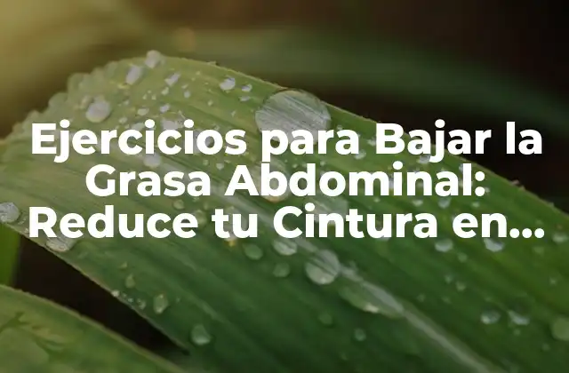Ejercicios para Bajar la Grasa Abdominal: Reduce Tu Cintura en 30 Días