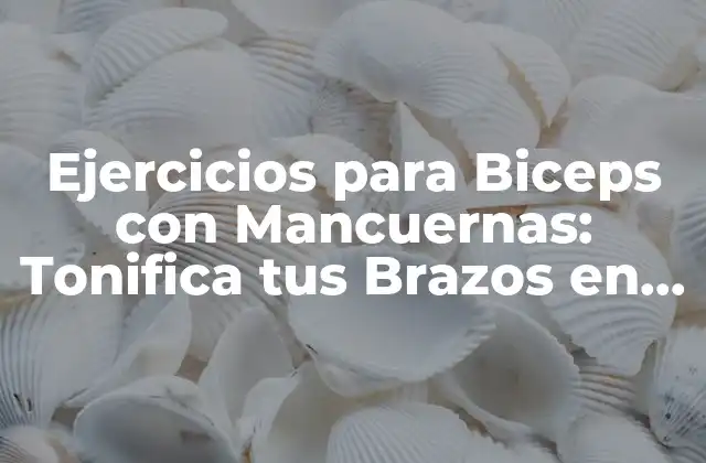 ¿Por qué son Importantes los Ejercicios para Biceps con Mancuernas?