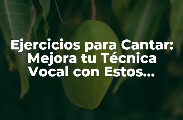 Ejercicios para Cantar: Mejora Tu Técnica Vocal con Estos Consejos