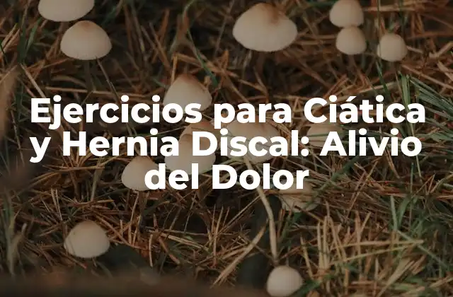 Ejercicios para Ciática y Hernia Discal: Alivio Del Dolor 2 ¿Cuáles son los Síntomas de la Ciática y la Hernia Discal?