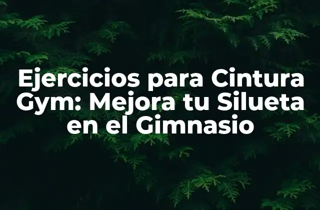 Ejercicios para Cintura Gym: Mejora Tu Silueta en el Gimnasio