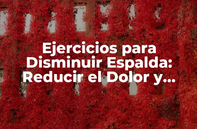 Ejercicios para Disminuir Espalda: Reducir el Dolor y Fortalecer la Región Lumbar