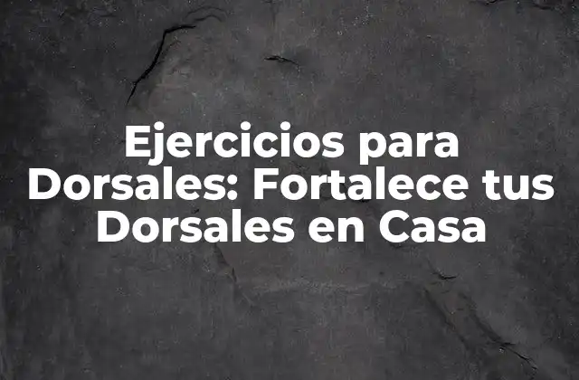 Ejercicios para Dorsales: Fortalece Tus Dorsales en Casa 2 ¿Por qué son Importantes los Ejercicios para Dorsales?