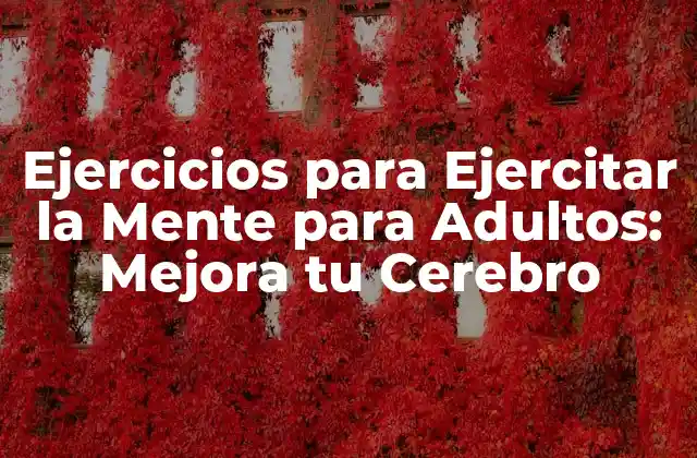 Ejercicios para Ejercitar la Mente para Adultos: Mejora Tu Cerebro