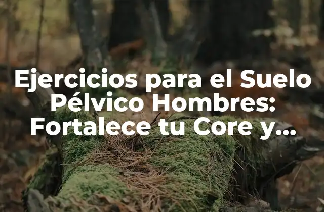 Ejercicios para el Suelo Pélvico Hombres: Fortalece Tu Core y Mejora Tu Salud