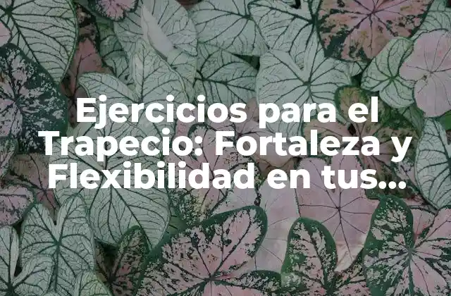 Ejercicios para el Trapecio: Fortaleza y Flexibilidad en Tus Hombros