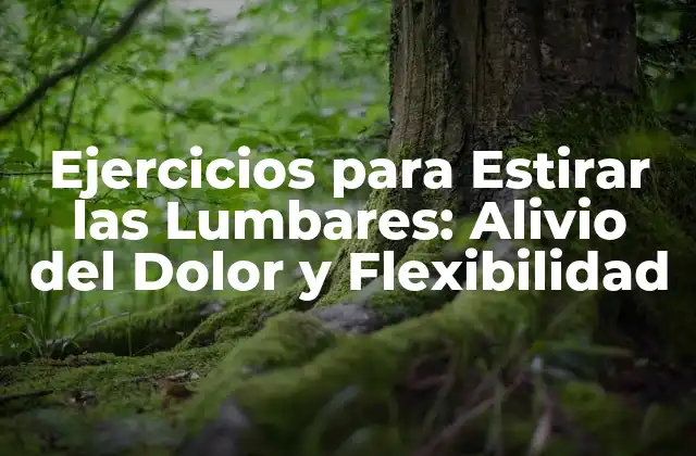 Ejercicios para Estirar las Lumbares: Alivio Del Dolor y Flexibilidad