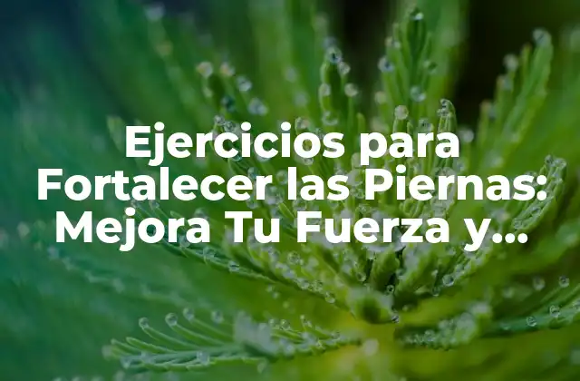 Ejercicios para Fortalecer las Piernas: Mejora Tu Fuerza y Resistencia