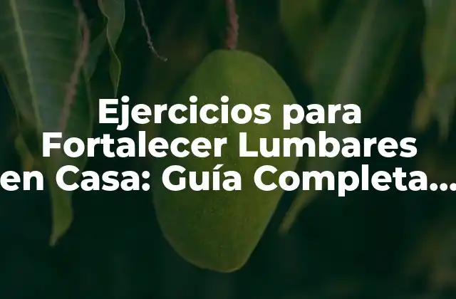 Ejercicios para Fortalecer Lumbares en Casa: Guía Completa y Segura