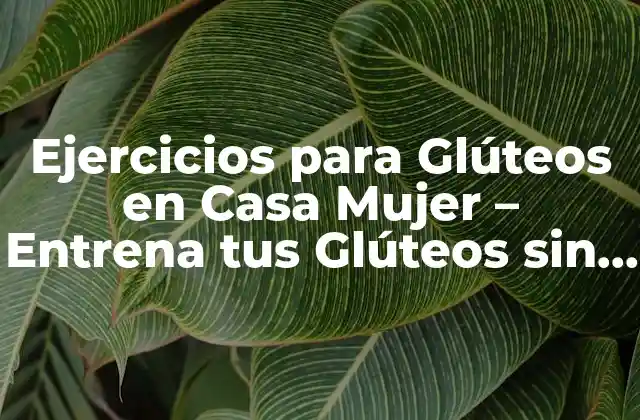 Ejercicios para Glúteos en Casa Mujer – Entrena Tus Glúteos sin Salir de Casa