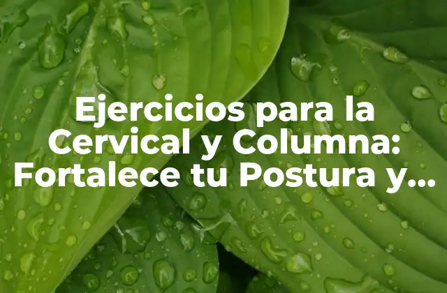 Ejercicios para la Cervical y Columna: Fortalece Tu Postura y Reduce el Dolor