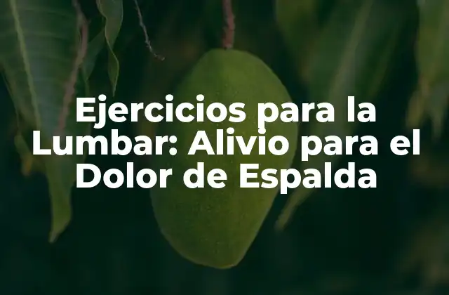Ejercicios para la Lumbar: Alivio para el Dolor de Espalda 2 ¿Por qué son importantes los Ejercicios para la Lumbar?